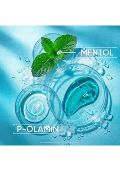 Kaşıntı Giderici Şampuan - Buzlu Mentol Ferahlığı