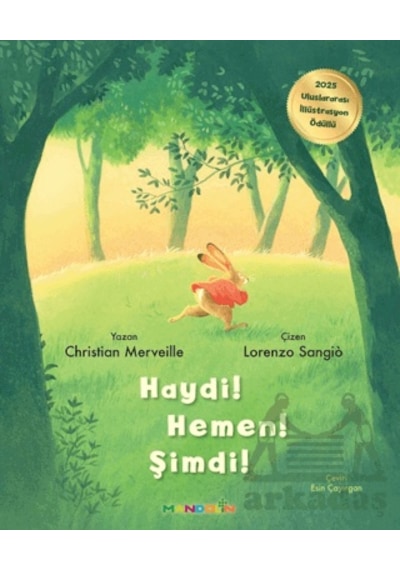 Haydi Hemen Şimdi Mandolin Yayınları