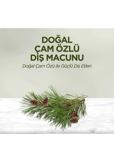 Mey İthalat Doğal Diş Macunu 90 Gr Çam Özlü Renkli