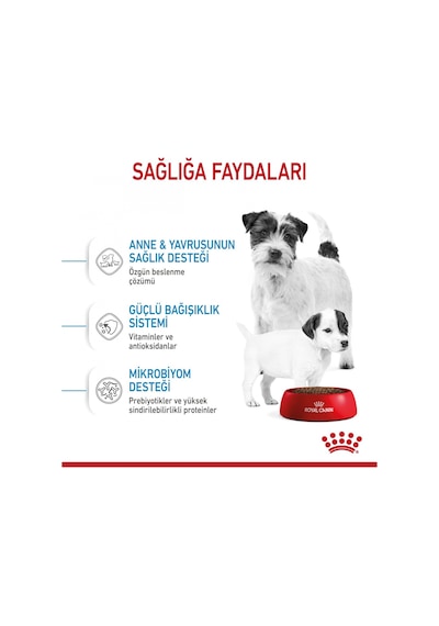 Royal Canin Mini Starter Yavru Köpek Maması 4 KG