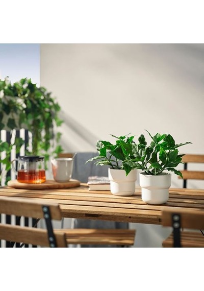 Ikea Fejka Yapay Bitki, Yeşil, 9 Cm, İç/dış Mekan Tatlı Defne