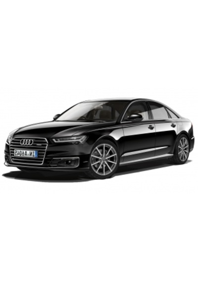 Audi A6 2.0 Tdi Devirdaimli Triger Seti İna-530065030
