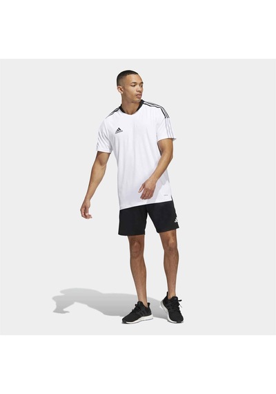 adidas Tiro 23 Competition Erkek Şort