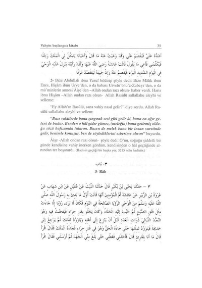 Sahih-i Buhari Tercüme ve Şerhi (11 Cilt Takım) - İmam Buhari - Sağlam Yayınevi