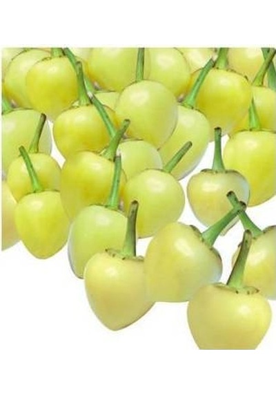 Acı Turşuluk Fındık Biber Tohumu 20 Tohum + Tohum