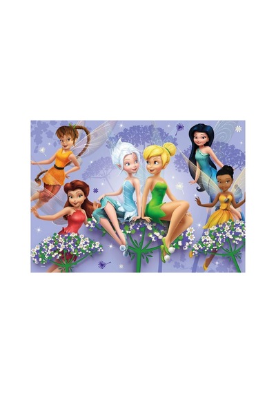 100 Parça Fairies Yapboz