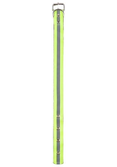 Fosforlu Yeşil Tasma 55 Cm