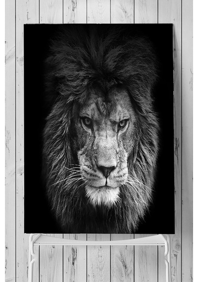 Aslan Motivasyon Poster 3