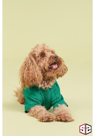 Salya Store Yeni Pou Serisi Camping Köpek T-shirt Köpek Kıyafeti