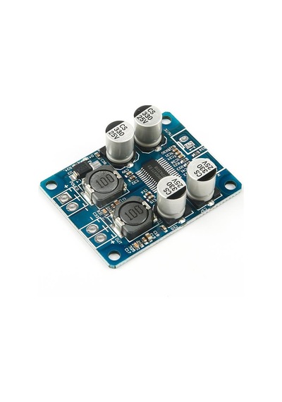 Tpa3118 Mono Dijital Amplifikatör Modülü 60w 12v-24v