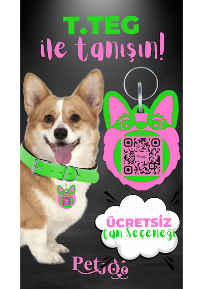 Petjoo 15.T.Teg Pembe-Yeşil Qr'lı Köpek Künyesi