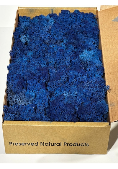 Reindermoss Şoklanmış Norveç Yosunu Terarium Yosunu Mavi 5 Kg.