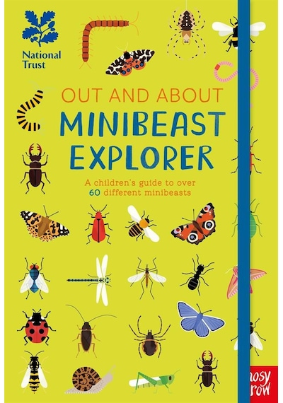 Minibeast Explorer A Children's Guide To Over 60 Different Minibe