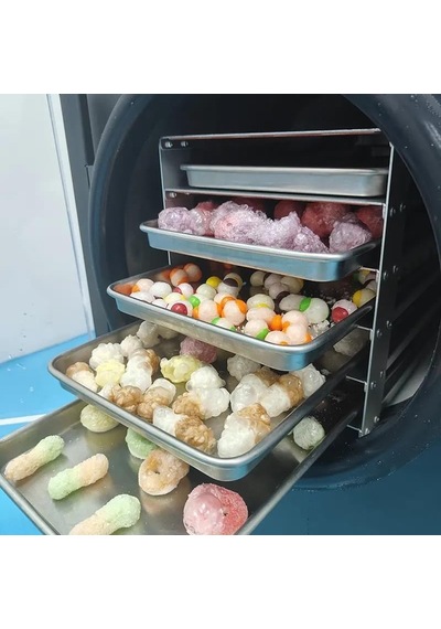 Dalle Dfd-20 Yüksek Teknolojili Freeze Dryer Dondurarak Kurutma Fırını - Liyofilizatör