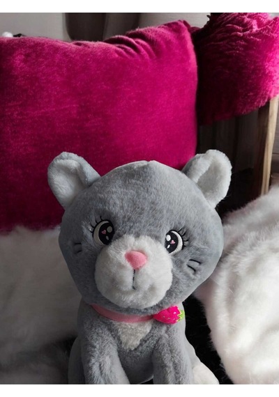 40 Cm En İyi Arkadaşım Kedi Peluş Gri