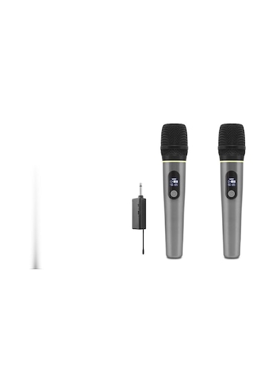 Profesyonel Kablosuz Uhf 2 Mikrofonlu Set 6.35 Mm - Gri Hdx2791g