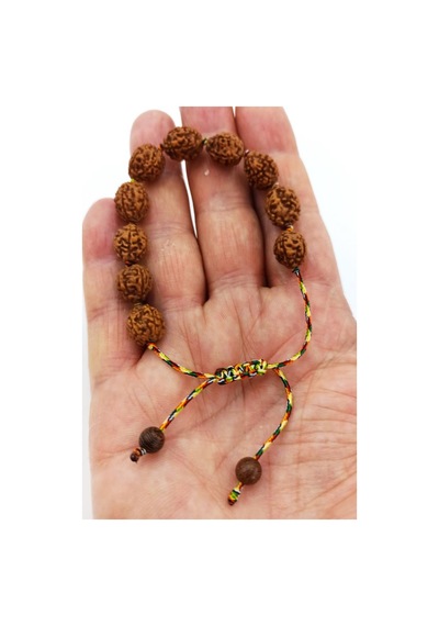 Rudrakşa Bileklik Hindistan Rudraksha 122 Çok Renkli
