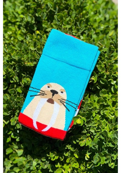 Lousocks Unisex Deniz Aslanı Desenli Renkli Soket Çorap Turkuaz
