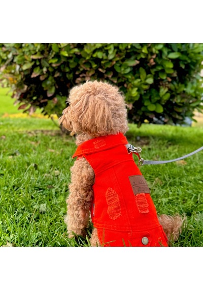 Yeni - Orange Renk Kot Köpek Yeleği - Küçük Irklar İçin Şık Ve Ra
