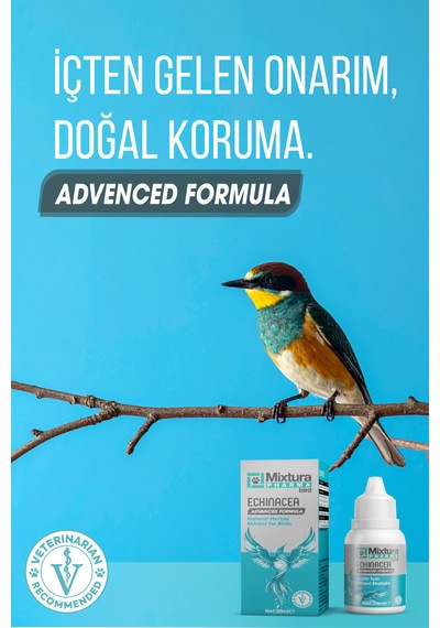 Mixtura Pharma Bird Echınacea