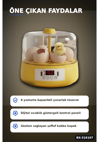 Kuluçka Makinesi 6 Yumurta Kapasiteli Otomatik Döndürmeli Ev Tipi Mini Bx-316167
