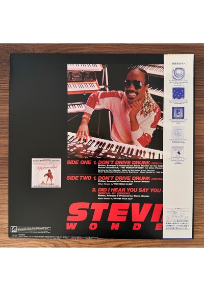 Stevie Wonder Don't Drive Drunk