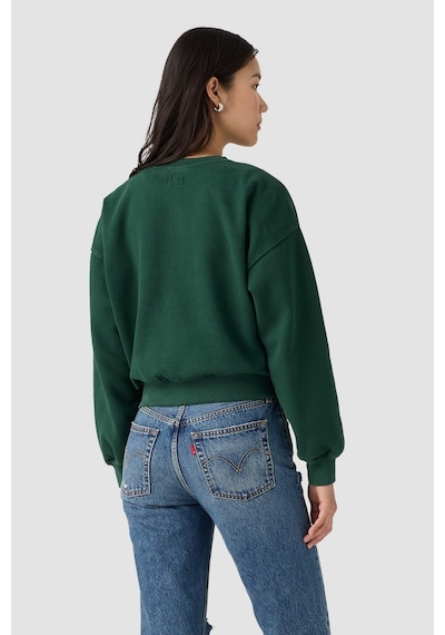 Levi's Kadın Vintage Bol Kesim Sweatshirt H226-pine Grove Şardonlu Yeşil Polar-24607