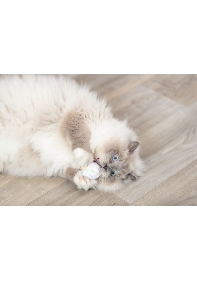 Trixie Kedi Oyuncağı, Dondurma Ve Kek Şeklinde, Peluş, Kediotlu 7cm