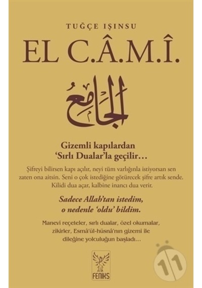 Feniks Yayınları-Artı El Cami