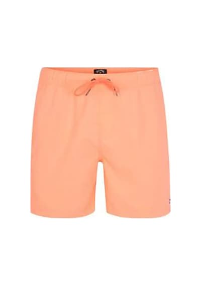 Billabong S1lb12-2674 All Day Lb Erkek Şort Mayo 001