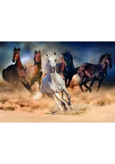 Nova 2000 Parça Toz Duman Koşan Atlar Puzzle - 46002