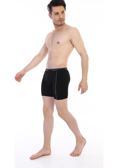 Epilons Zenvial Çift Kaplan 880 Elastanlı Erkek Boxer Zenviall2 Siyah
