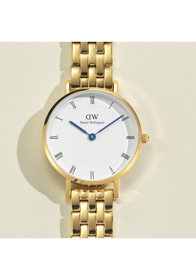 Daniel Wellington Dw00600682 Kadın Kol Saati Diğer