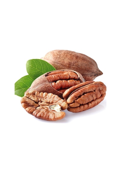 Pikan Ceviz Fidanı 2 Yaş - Açık Köklü 50-80 Cm