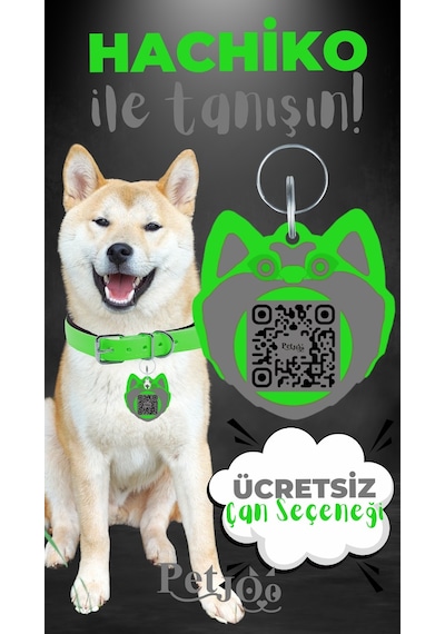 Petjoo 19.Hachiko Gri-Yeşil Qr'lı Köpek Künyesi