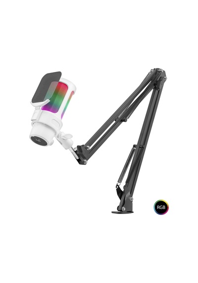 Profesyonel Ayarlanabilir Masa Kolu Askılı Rgb Mikrofon 192