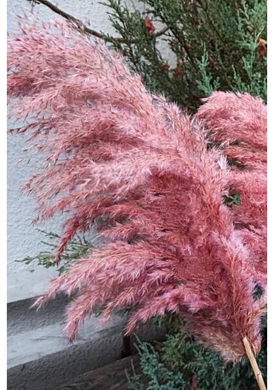 8'li Büyük Demet Pampas Pembe 100cm Boyunda Çok Renkli