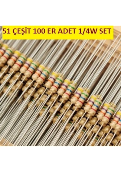 Direnç Seti 1/4W Çeyrek Watt Karbon 51 Çeşit 100 Er Adet