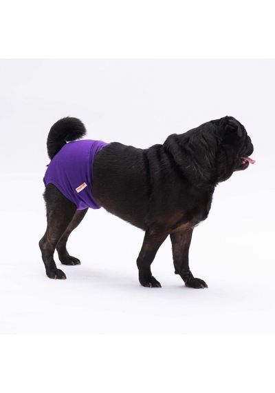 Pawstar Karışık Düz Renkli 1 Kedi Köpek Çamaşırı Regl Kilodu 3'lü