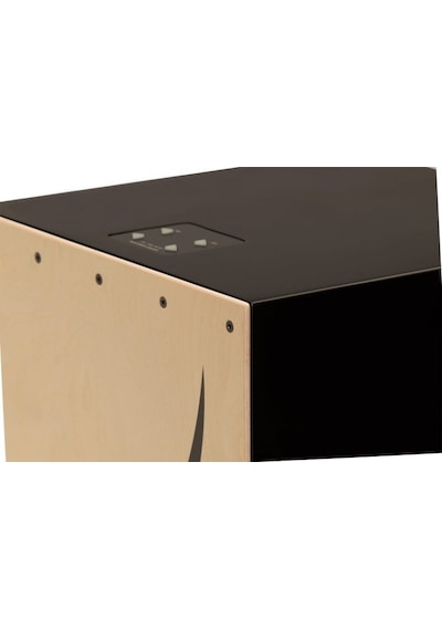 ROLAND EC-10 El Cajon