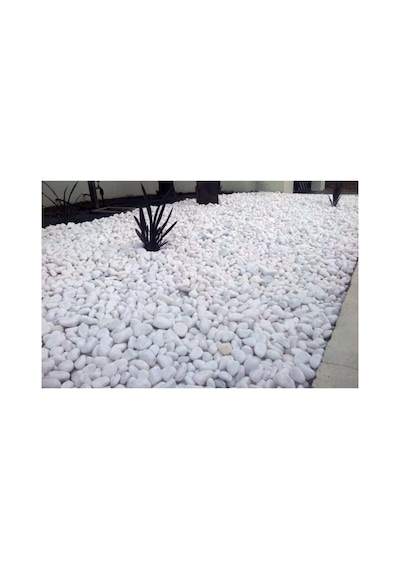 Beyaz Dolomit 25 Kg 2,5-4 Cm Dolamit Taşı Dere Çakıl Bahçe Süs Dekoratif Taş