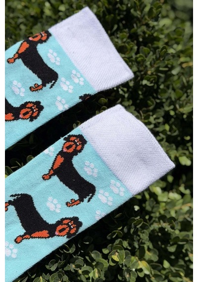 Lousocks Unisex Sosis Köpek Desenli Turkuaz Soket Çorap