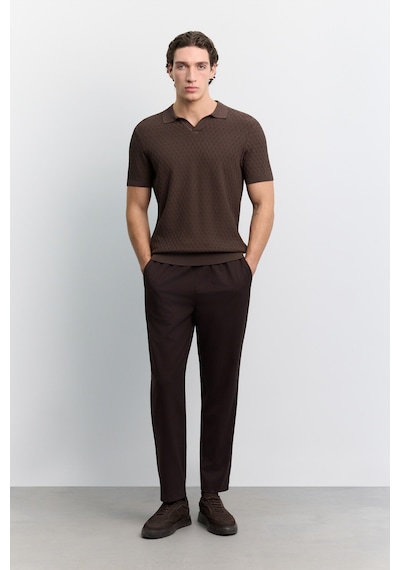 Avva Erkek Kahverengi Polo Yaka Düğmesiz Rayon Karışımlı Regular Fit Triko T-shirt A62y5060