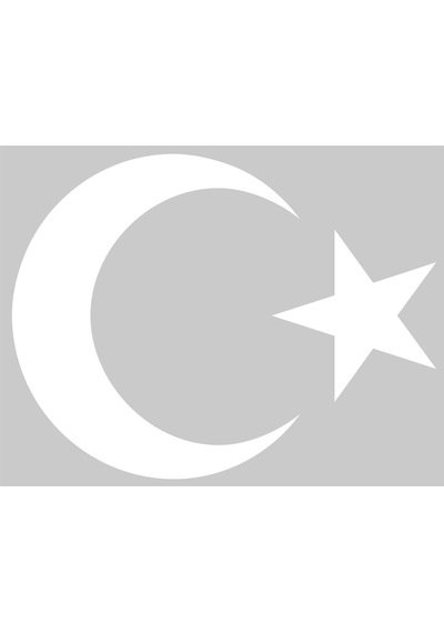 Ayyıldız (Bayrak) Sticker. 5 Farklı Ebatta