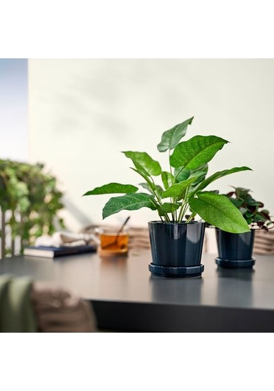 Ikea Fejka Yapay Bitki, Yeşil, 12 Cm, İç/dış Mekan Dua Çiçeği