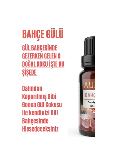 AURAN Bahçe Gülü Esansiyel Uçucu Koku Yağı Buhurdanlık Yağı 10ml