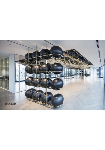 Rane Gold Pilates Topu Standı