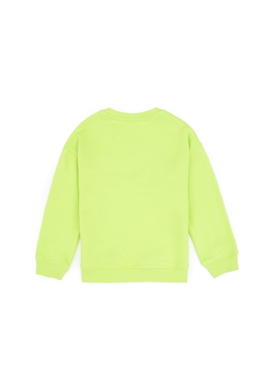 U.S. Polo Assn. Erkek Çocuk Yeşil Bisiklet Yaka Basic Sweatshirt 50313829-VR020