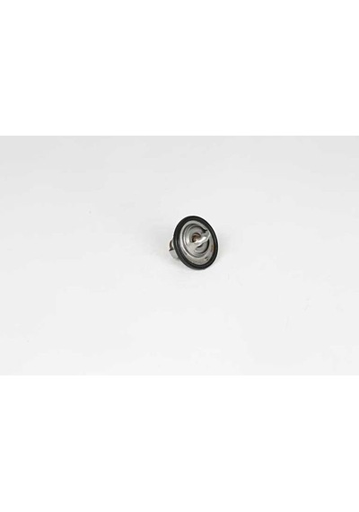 Bsg 16-125-006 Termostat Aveo T250 / T255 B12d1 F14d3 08-1