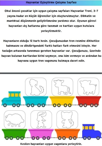 Okul Öncesi Özel Eğitim Seti 4 Süper Kitap Laminasyonlu